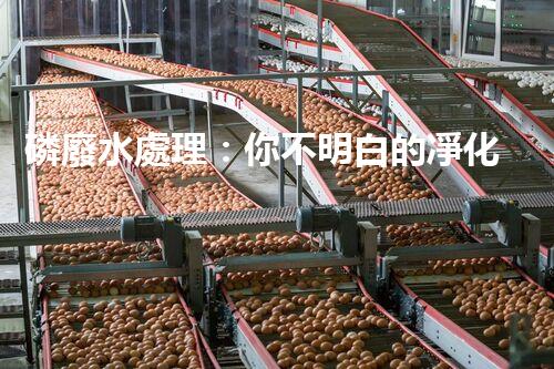 磷廢水處理：你不明白的凈化秘訣！